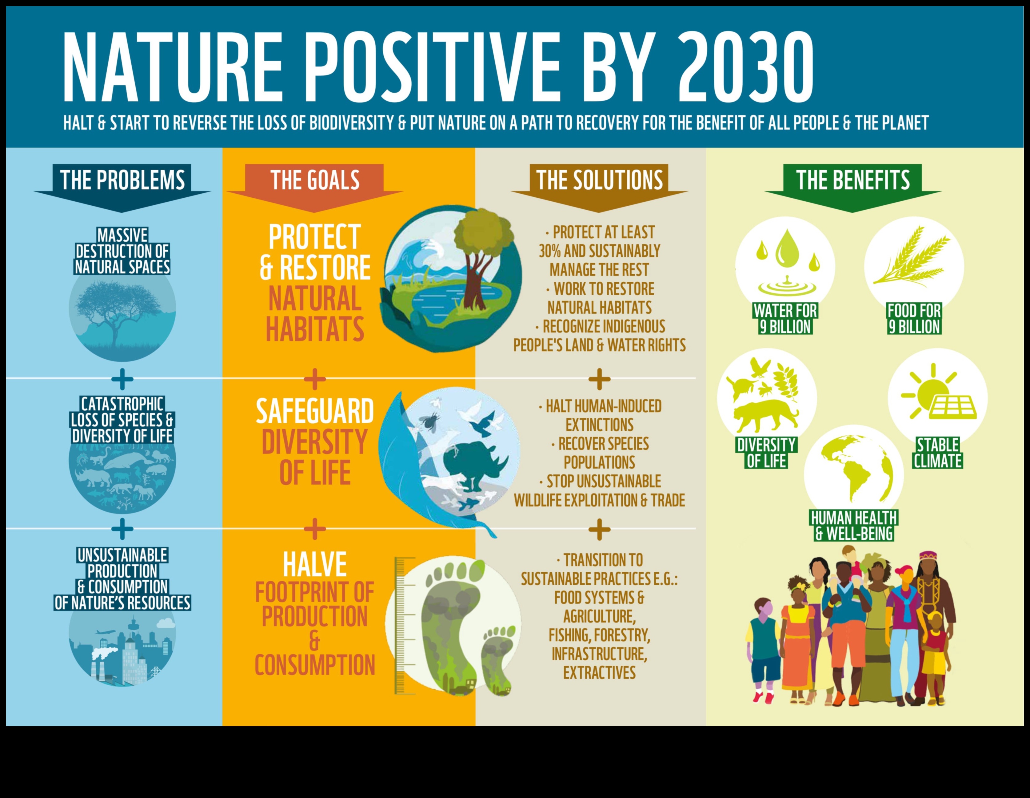 גבולות המגוון הביולוגי: חשיפת אזורי שימור ברחבי העולם