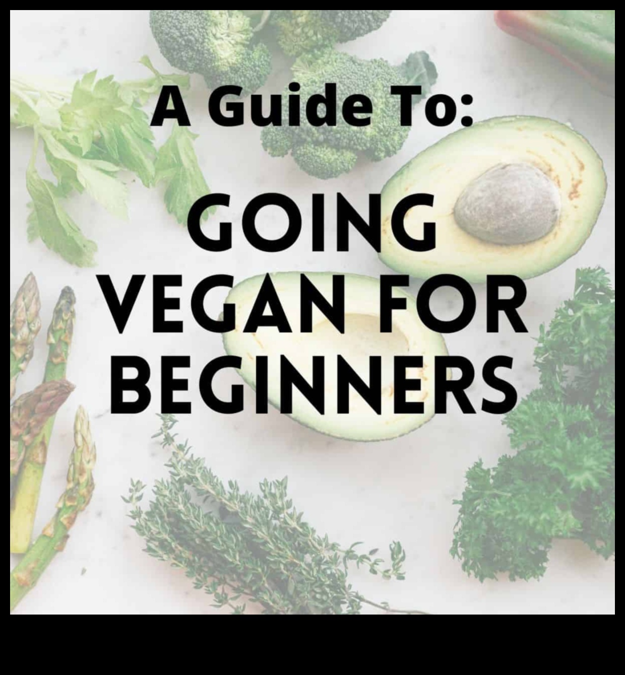 ניווט בתזונה טבעונית: מה שכל מתחיל צריך לדעת