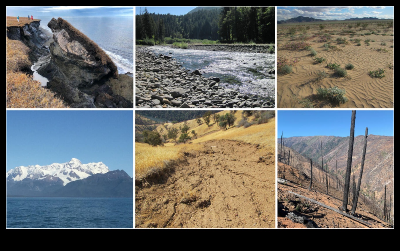 אקלים ונופים: הסתגלות לעולם משתנה