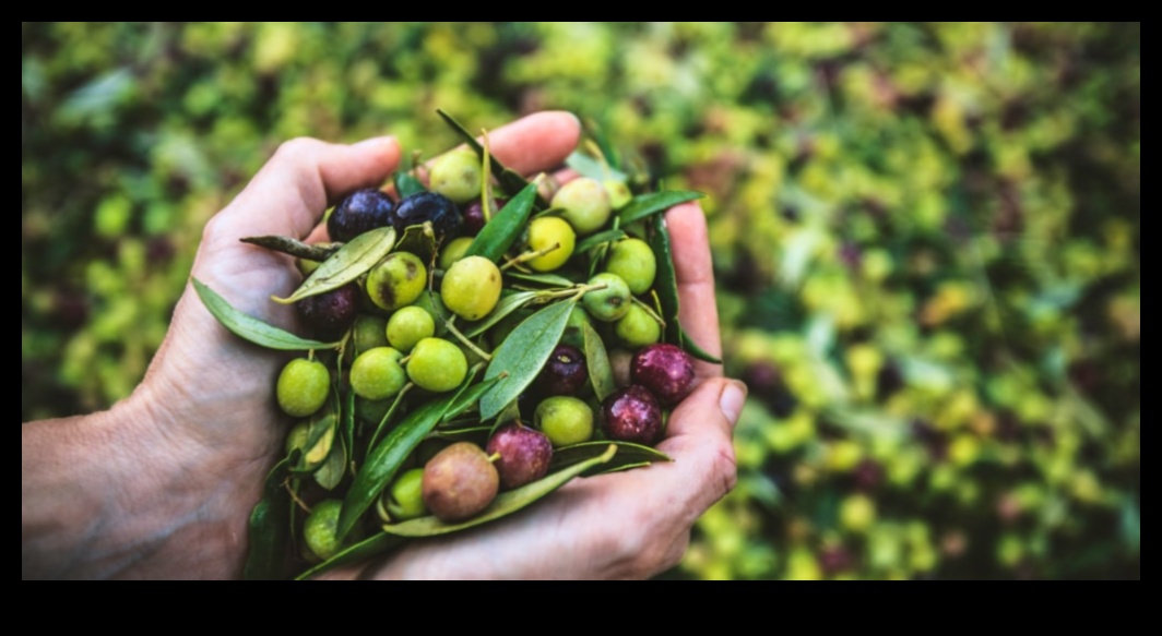 דיאטות אורח חיים וקיימות סביבתית: השקפה הוליסטית