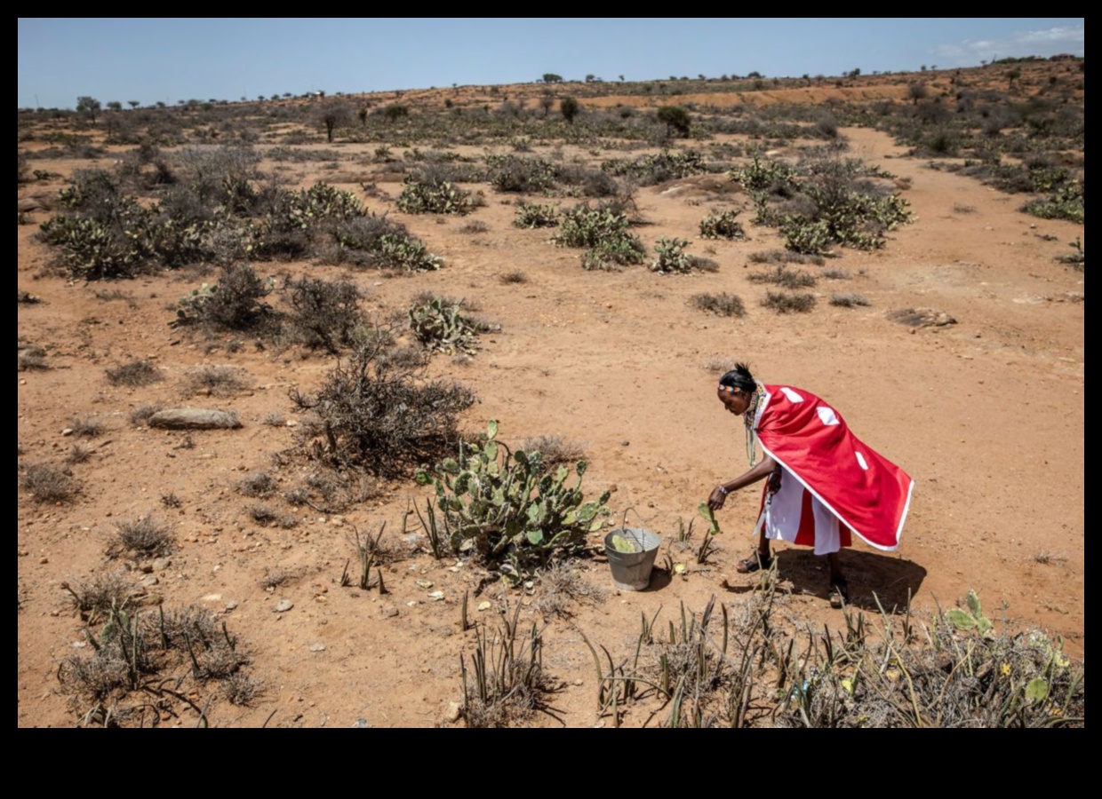 מדוע נופים מסוימים רגישים יותר למיני בעלי חיים פולשים?
