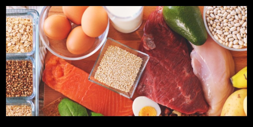 דיאטות עתירות חלבון ואיזון הורמונלי: מבט מקיף