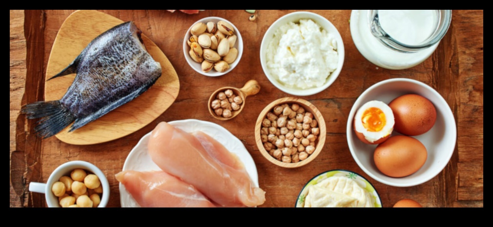 דיאטות עתירות חלבון ואיזון הורמונלי: מבט מקיף