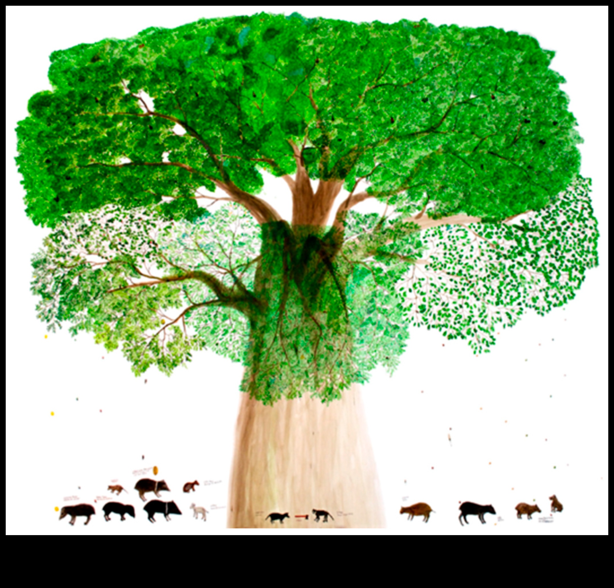 מורשת אמנות אדמה: אמנות מודרנית בעולם הטבע