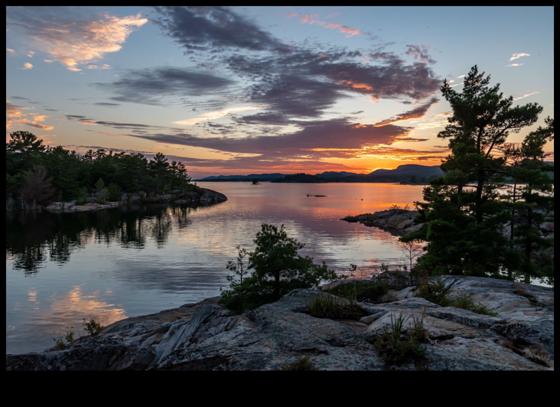 עונות של פאר: לכידת היופי של השינויים בטבע