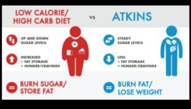 דל פחמימות ואוהב את זה: הופכים את המעבר לקל