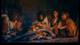 גלה את סודות התזונה הפליאוליתית: מדריך מקיף