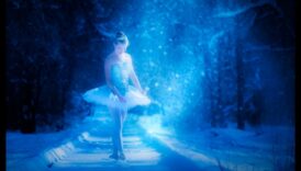 הבלט של הטבע: תנועות חינניות בנופים שובי לב