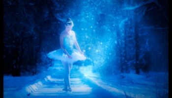 הבלט של הטבע: תנועות חינניות בנופים שובי לב