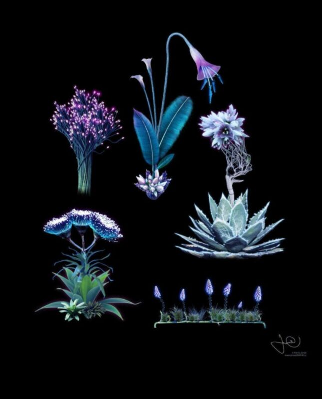 פרחים עתידניים: הדפסים בוטניים קח תפנית מדע בדיוני