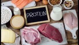 דיאטות עתירות חלבון ואיזון הורמונלי: מבט מקיף