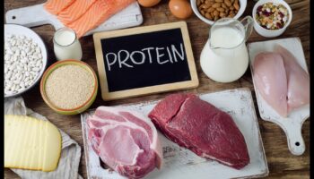 דיאטות עתירות חלבון ואיזון הורמונלי: מבט מקיף