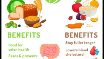 טבעונות וצריכת סיבים: קידום בריאות מערכת העיכול