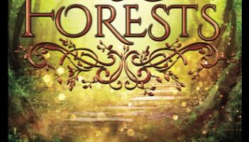 יערות קסומים: חקר סצנות יער