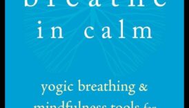 לנשום בקלות: מדריך יומי להפחתת מתח באמצעות נשימה מודעת