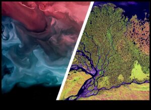 מורשת אמנות אדמה: אמנות מודרנית בעולם הטבע