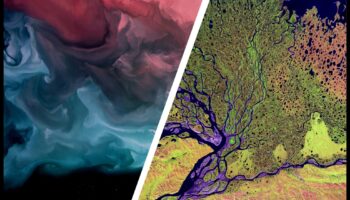 מורשת אמנות אדמה: אמנות מודרנית בעולם הטבע