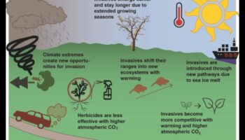 מדוע נופים מסוימים רגישים יותר למיני בעלי חיים פולשים?