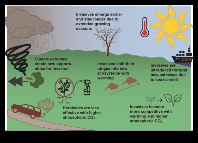 מדוע נופים מסוימים רגישים יותר למיני בעלי חיים פולשים?