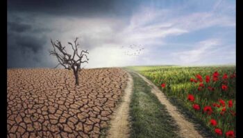 אקלים ונופים: הסתגלות לעולם משתנה