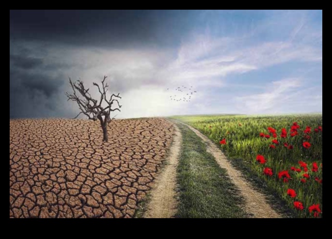 אקלים ונופים: הסתגלות לעולם משתנה