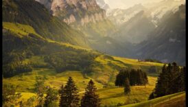 אלגנטיות חזותית: חגיגה ציורית של נופי נוף עוצרי נשימה