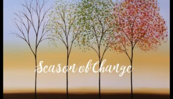 מעברים עונתיים: נופים בשטף