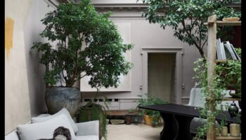 אלגנטיות בת קיימא: מגמות בעיצוב נוף מודרני