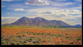 עונות של פאר: לכידת היופי של השינויים בטבע