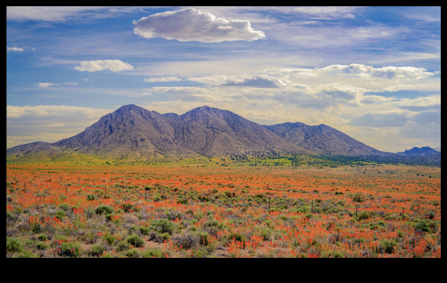 עונות של פאר: לכידת היופי של השינויים בטבע