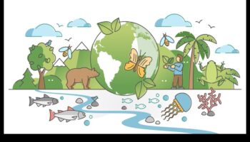 גבולות המגוון הביולוגי: חשיפת אזורי שימור ברחבי העולם